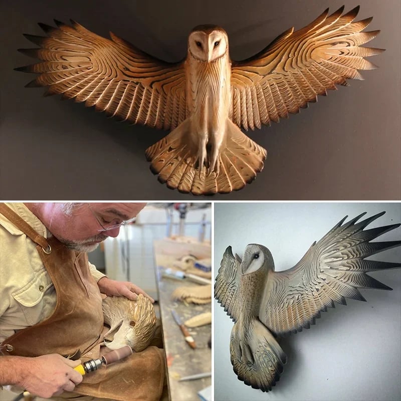 Wanddekoration Eule Majestic für Zuhause 3