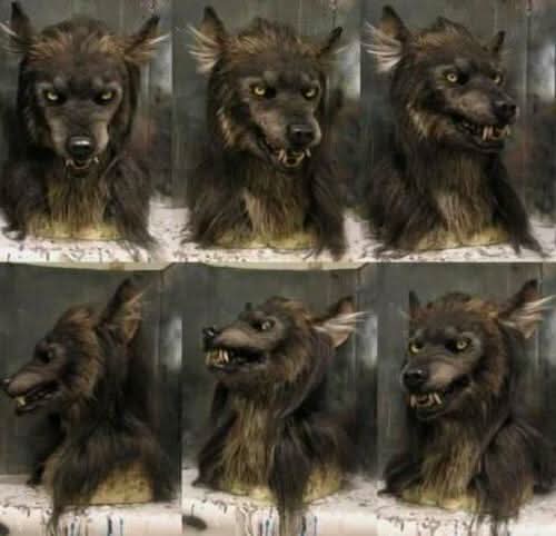 Werwolfmaske für Halloween und Cosplay 1