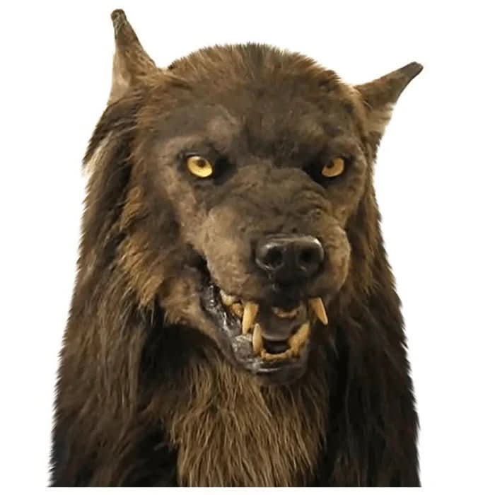 Werwolfmaske für Halloween und Cosplay 3
