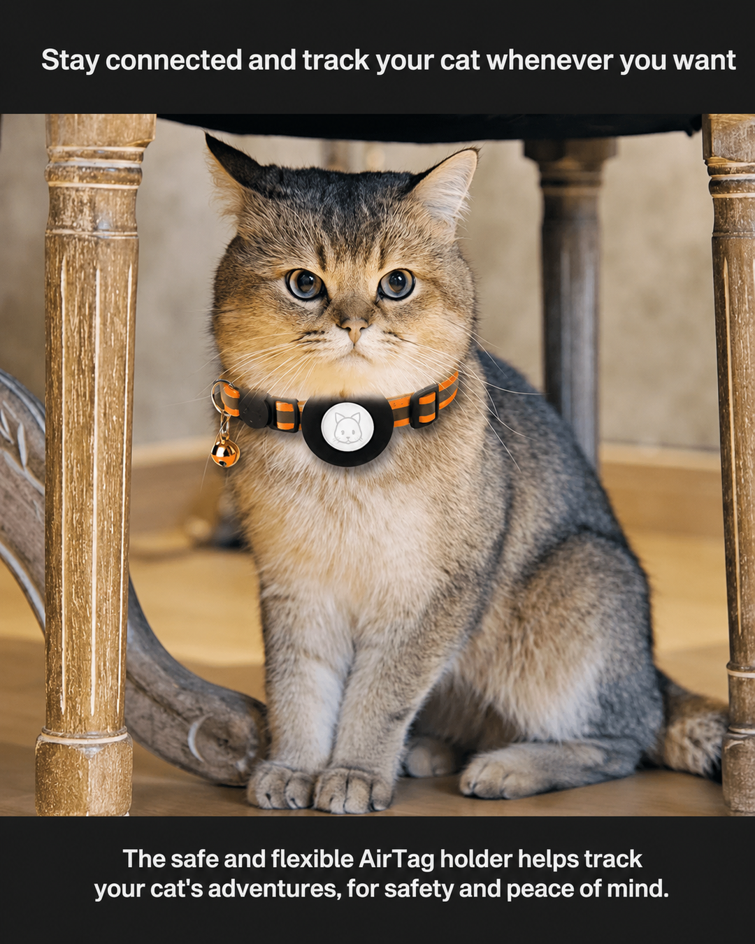 Katzen GPS Tracker Halsband MIT Reflektierenden Elementen